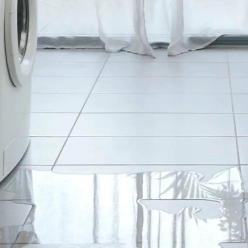Appliance Leak Cleanup in Terrell, TX