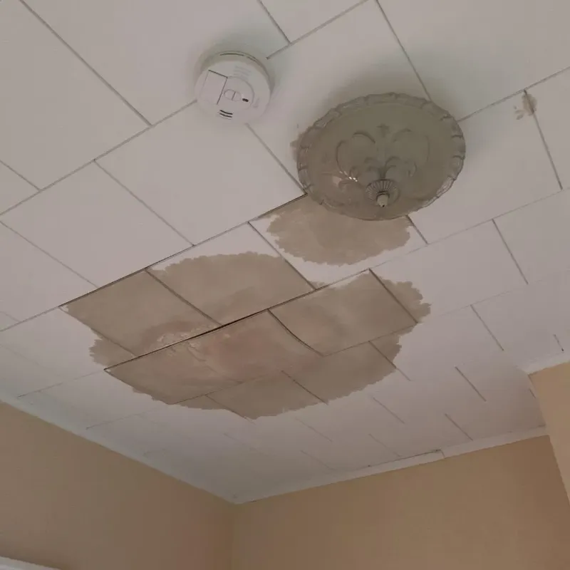 Ceiling Water Damage Repair in Terrell, TX