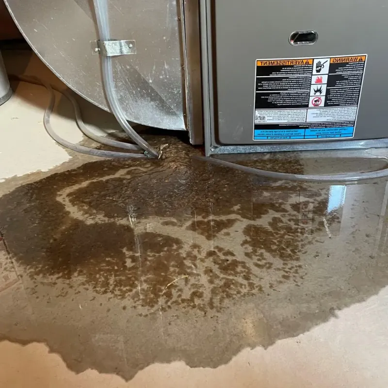 Pipe Burst and Leak Restoration in Terrell, TX