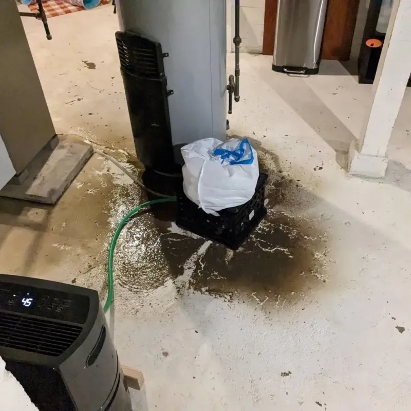 Sewage Backup Cleanup Service in Terrell, TX